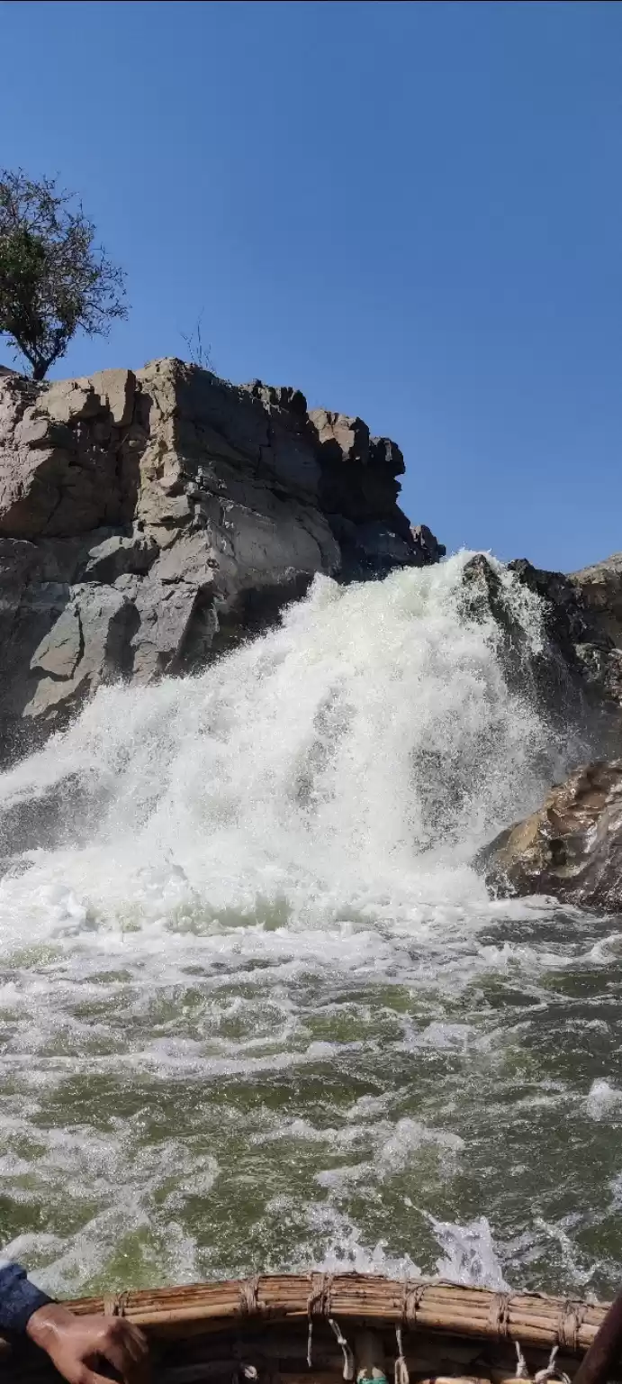 Photo of Mesmerizing Hogennak