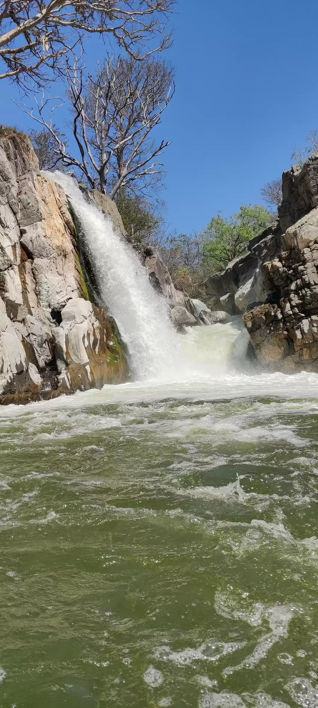 Photo of Abode of River Rafti