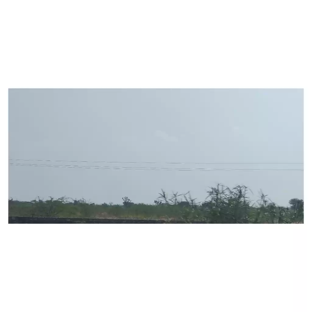 Photo of Pink city Jaipur 