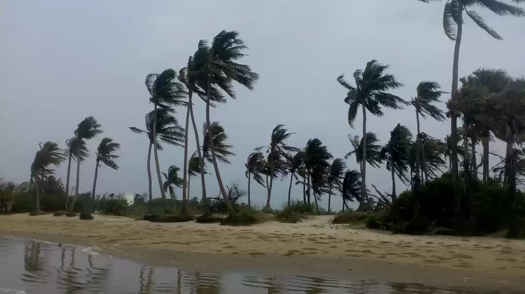 Photo of Mandarmani sea beach