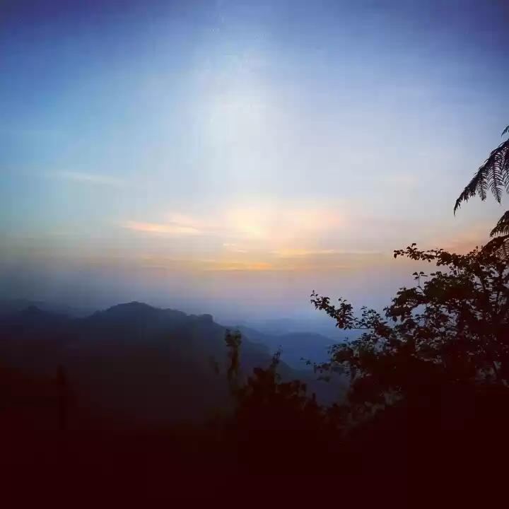 Photo of Wandering in the Mag