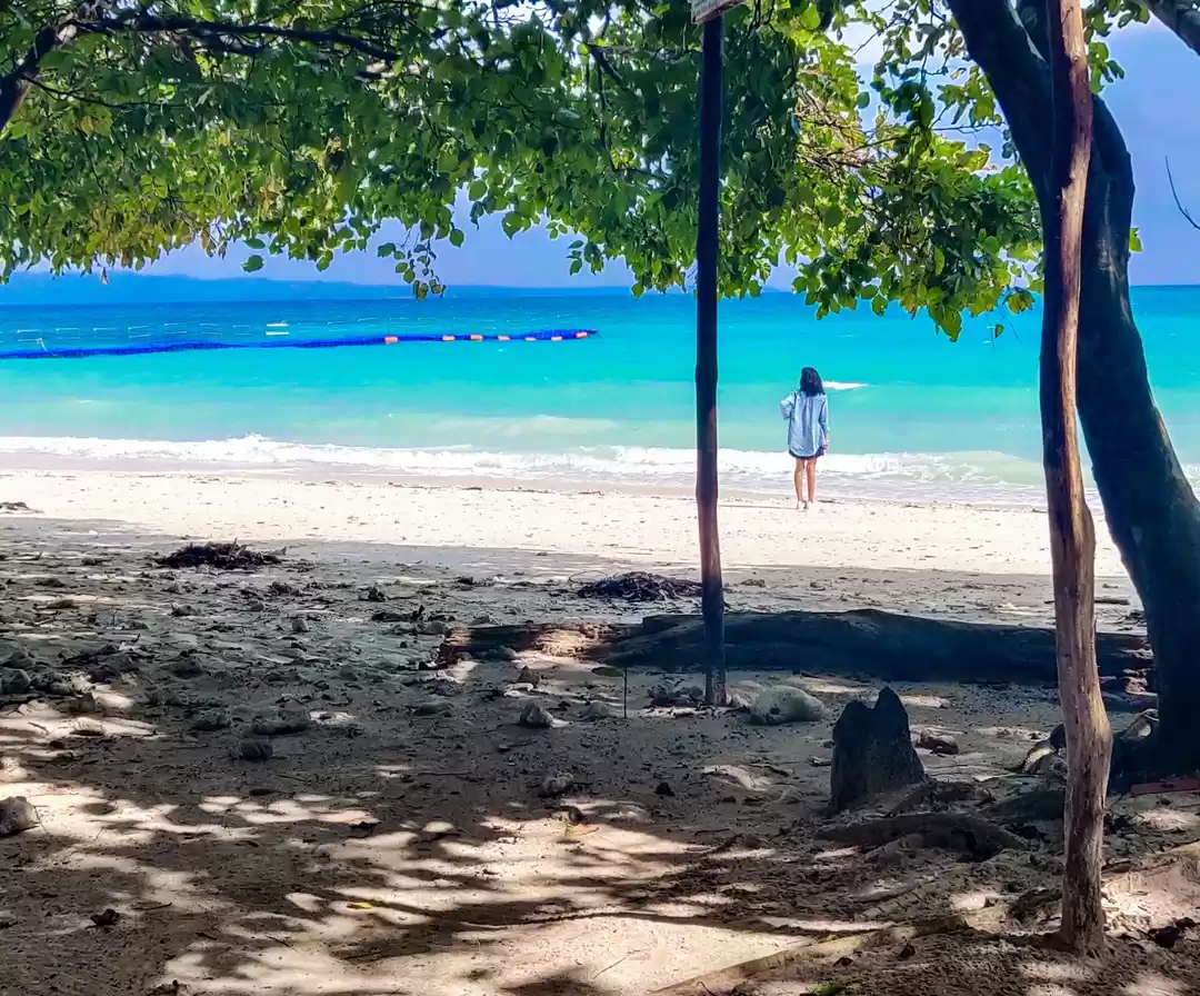 Photo of The Andaman and Nico