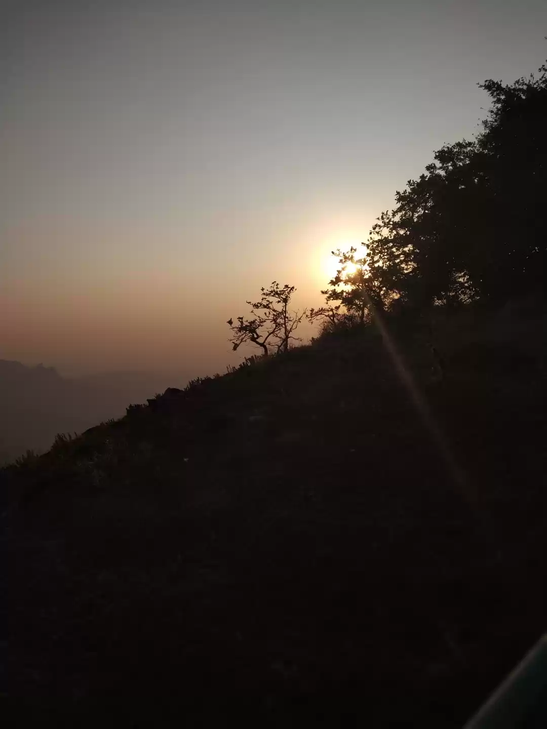 Photo of Lonavla_Tiger's Poin