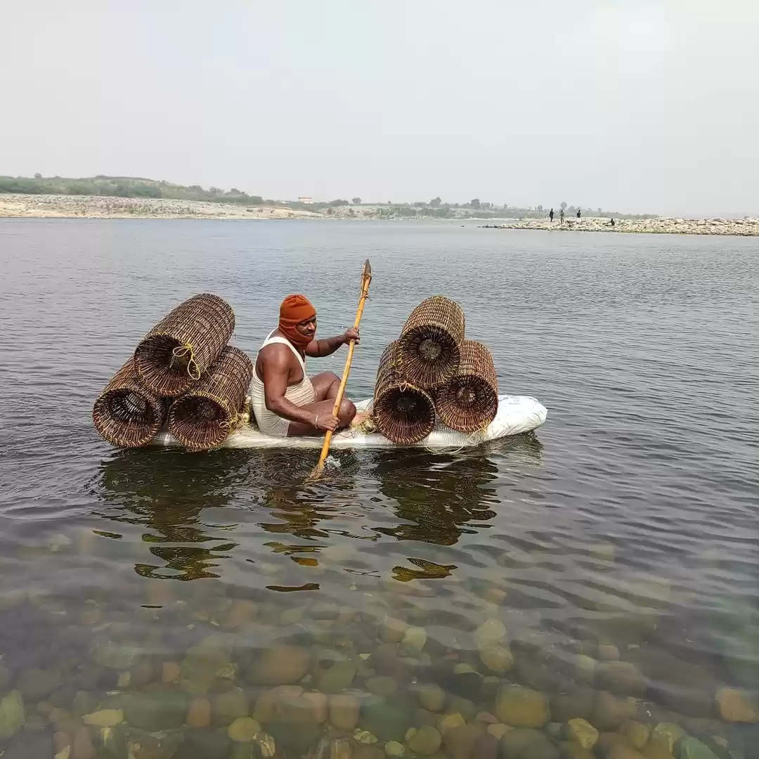 Photo of Pulichintala Project