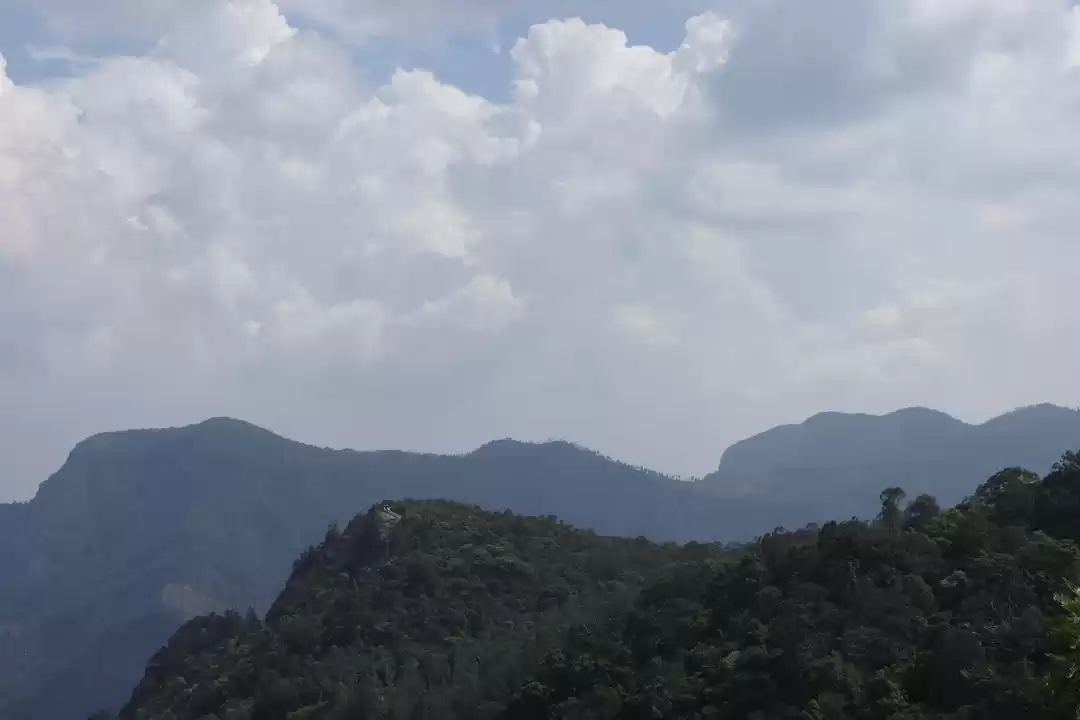 Photo of Bangalore to Coonoor