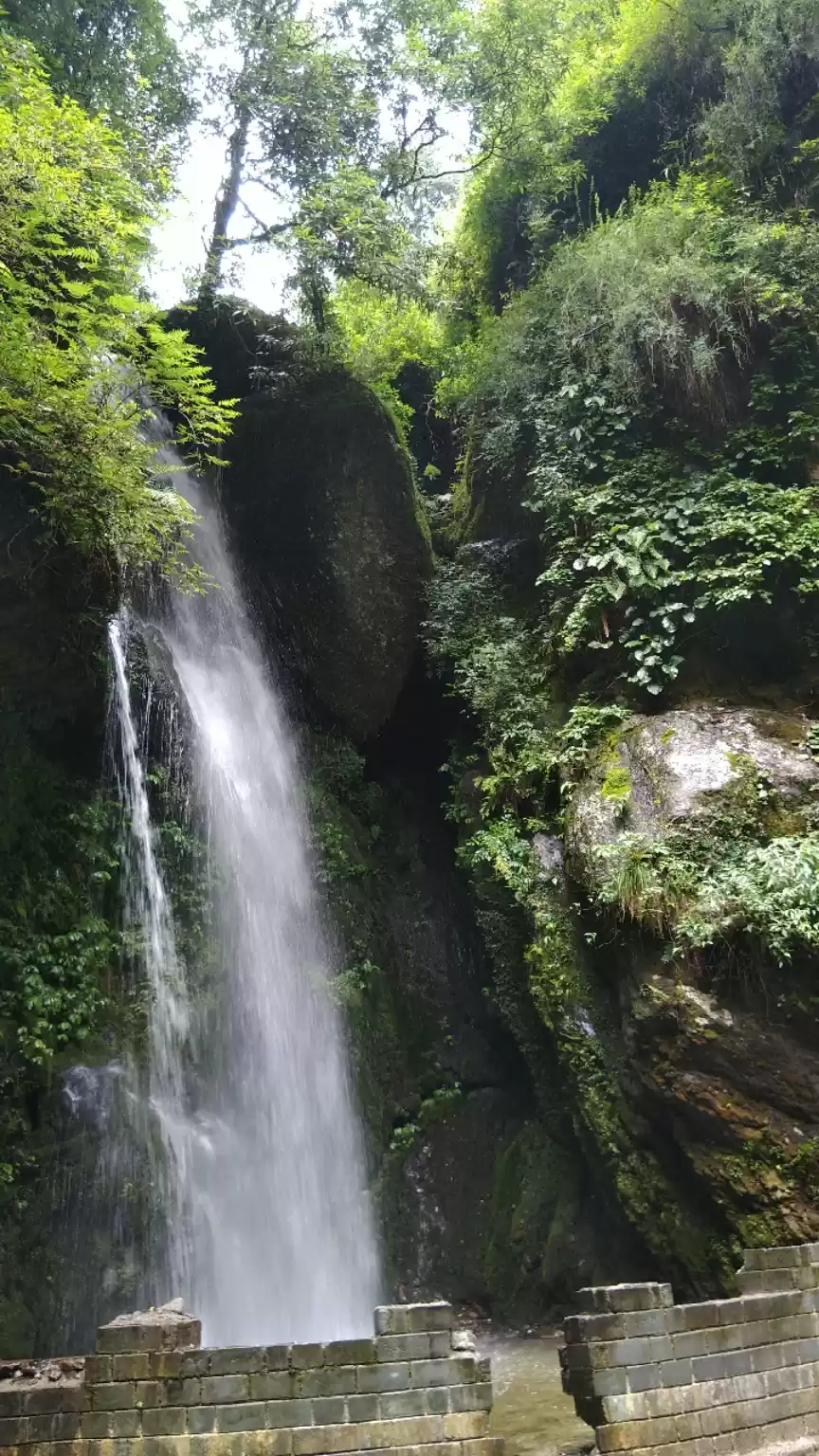 Photo of Jibhi & Shanghar Hea