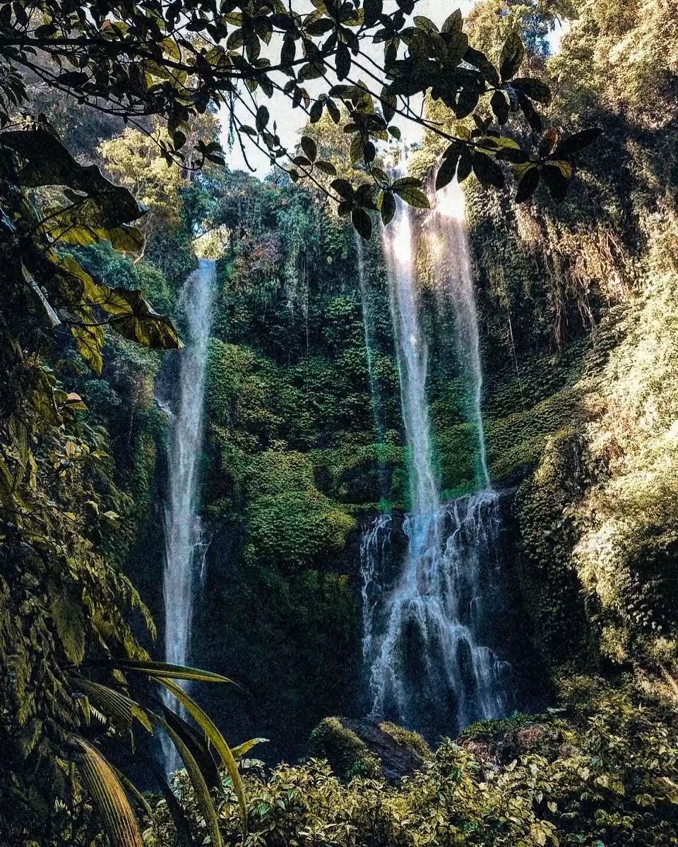 Photo of If i could choose a 