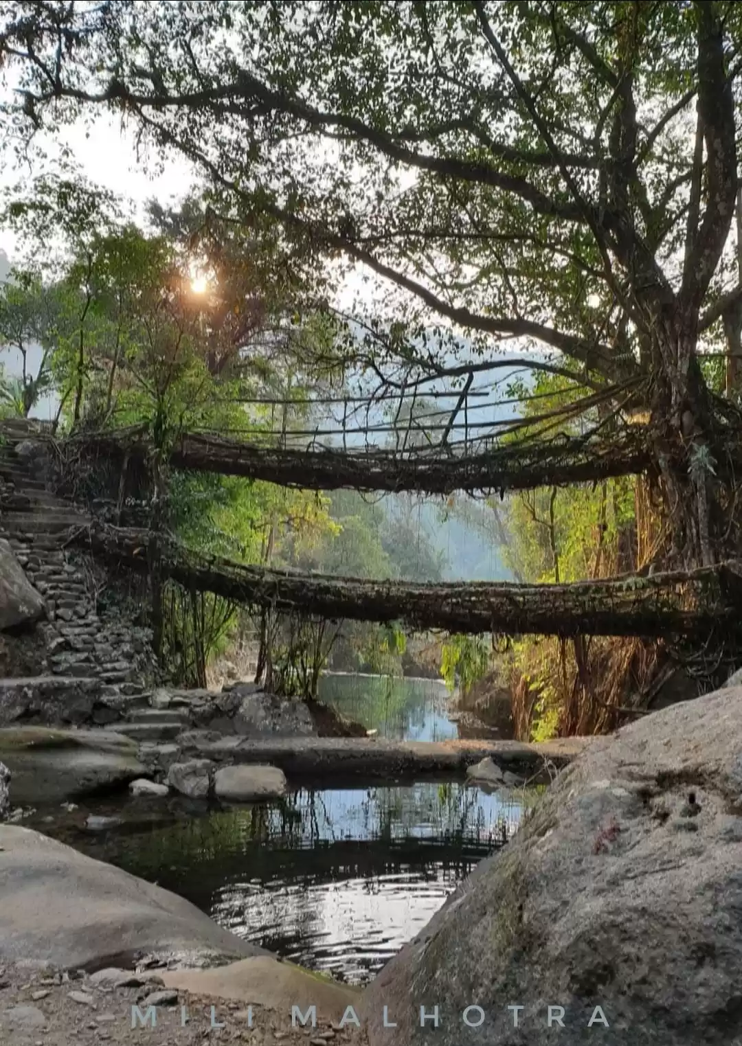 Photo of trek at 40...