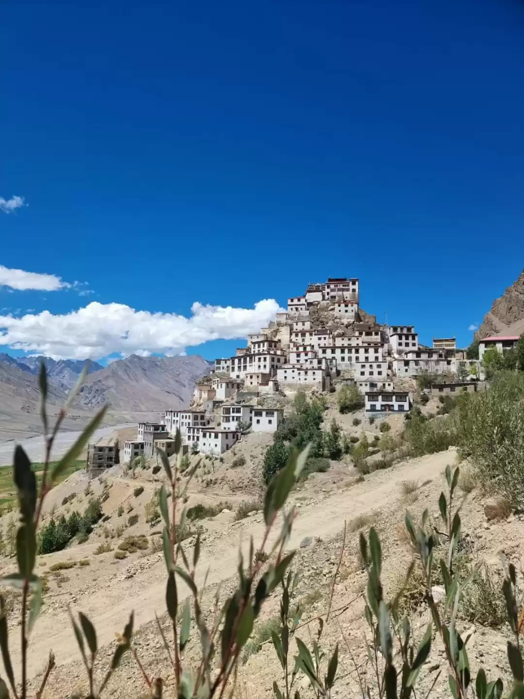 Photo of Key Monastery, Spiti