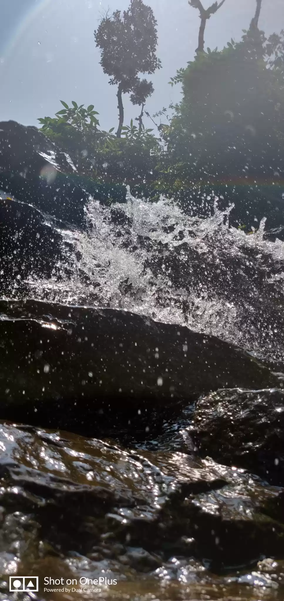 Photo of Dandeli