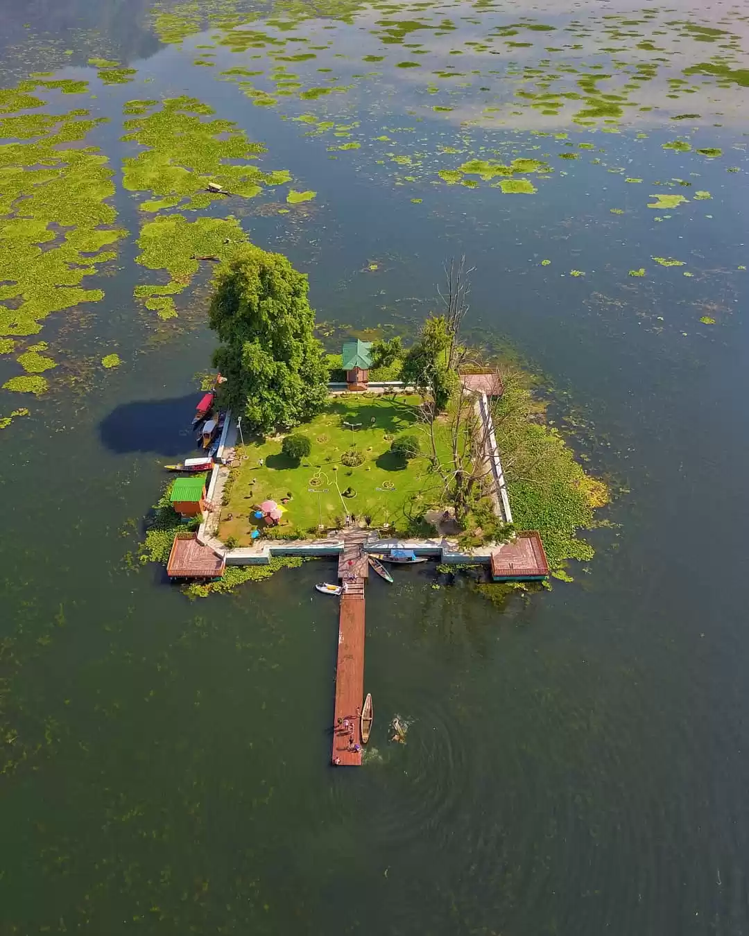 Photo of Char Chinar (Aerial 