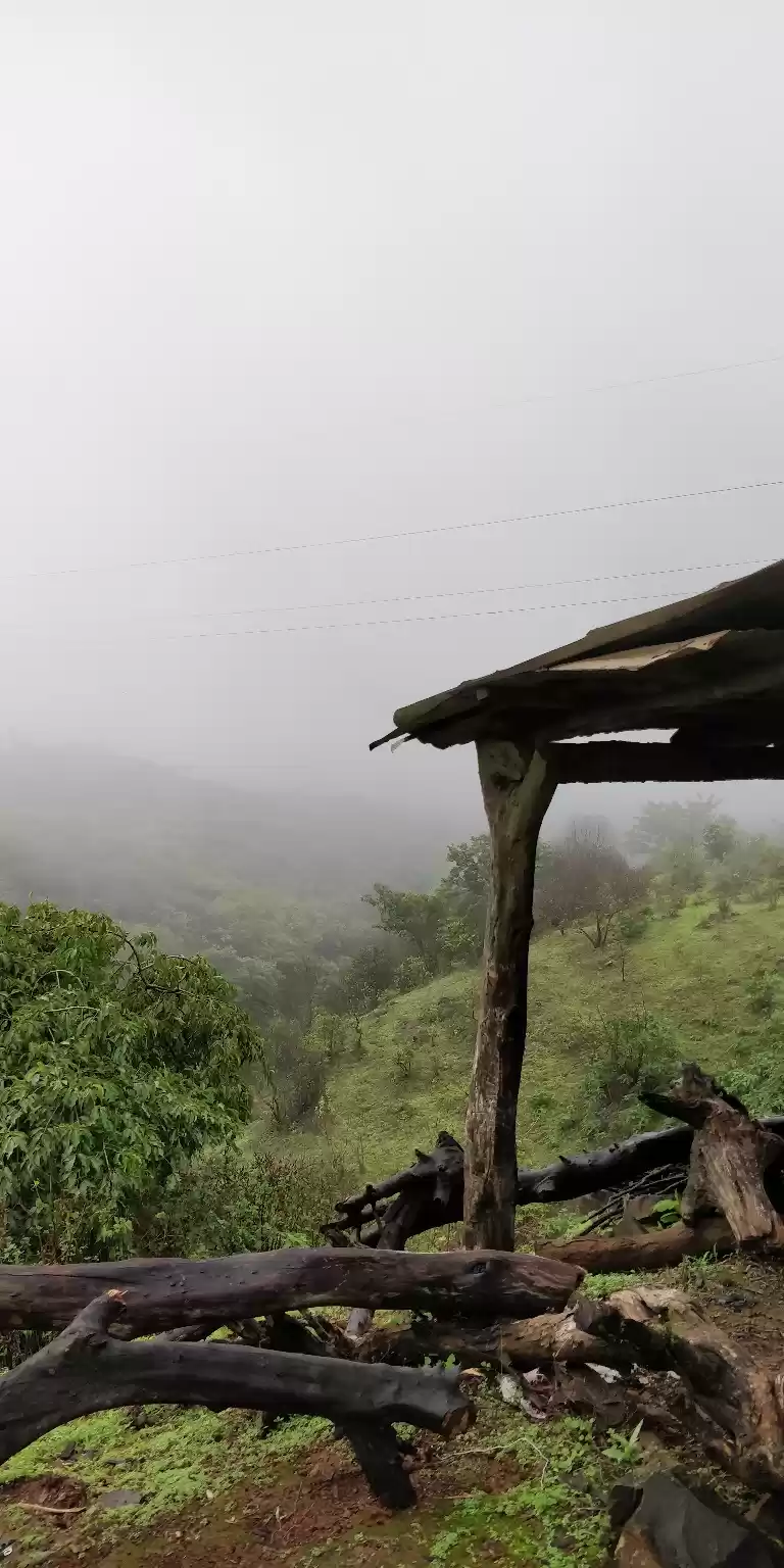 Photo of Unparalleled Italian