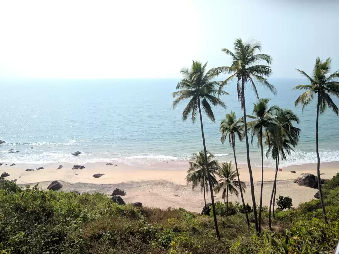 Photo of Goa Logged in!!! 201