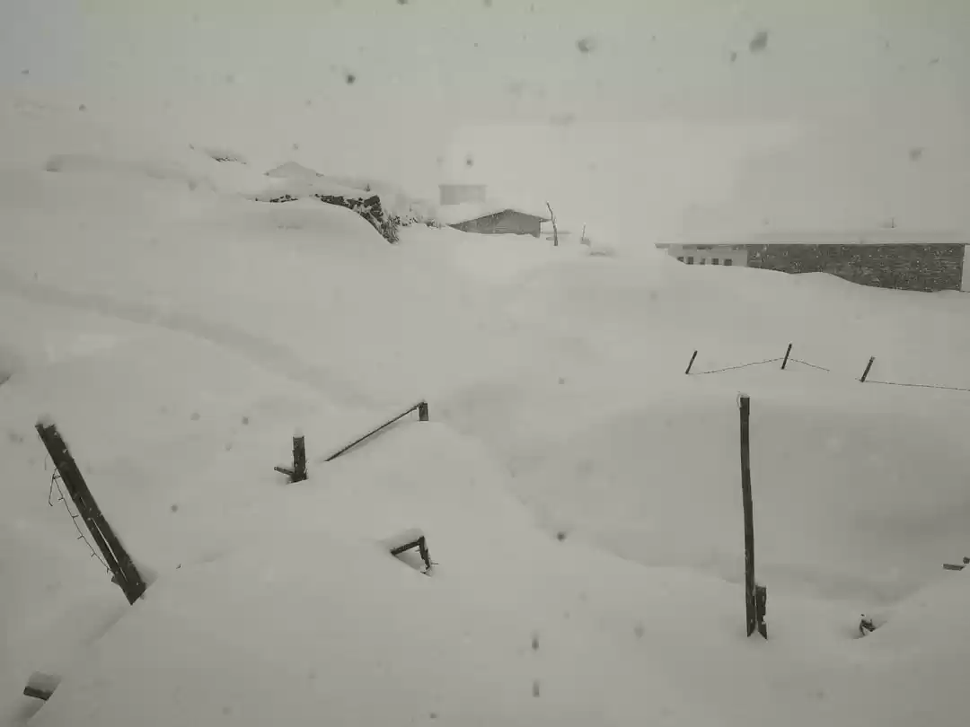 Photo of Chopta " A Snow Devi