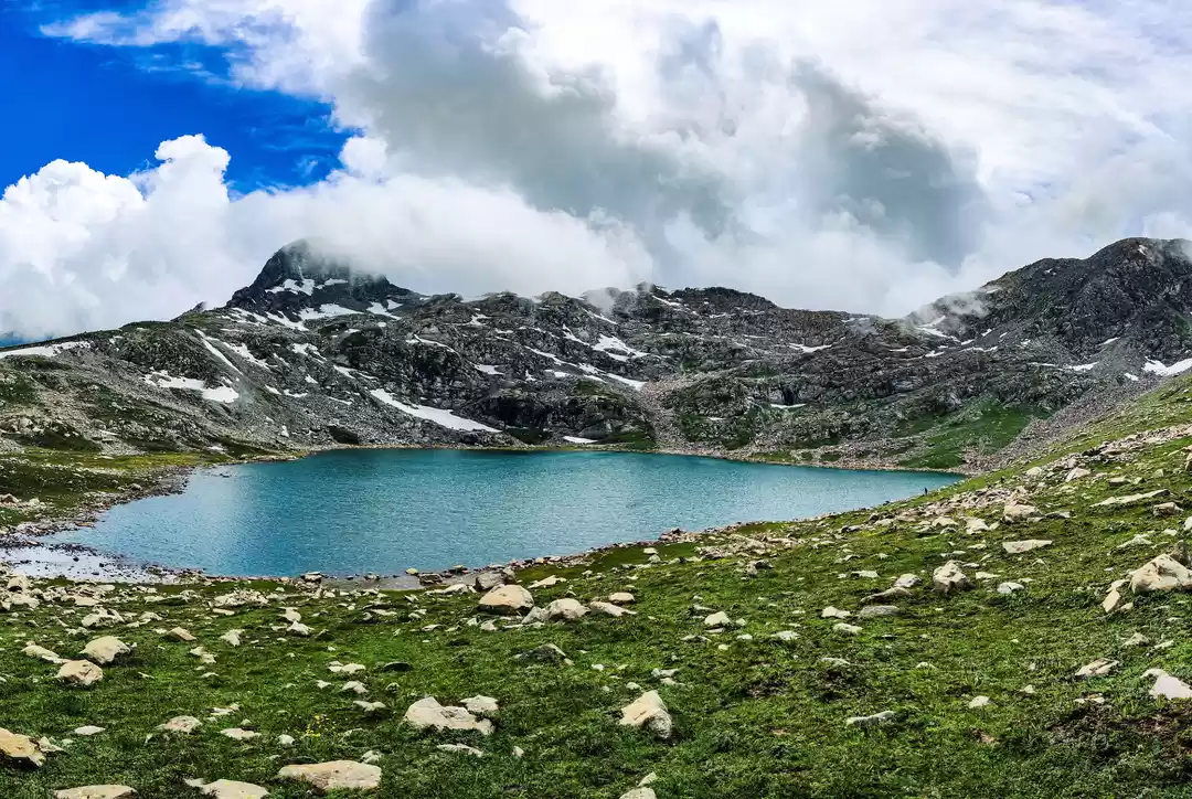 Photo of ‘Meadows of Love’