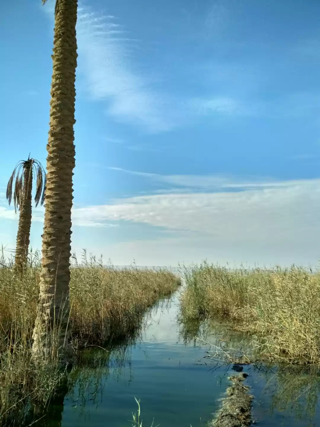 Photo of The Nile: Longest Ri