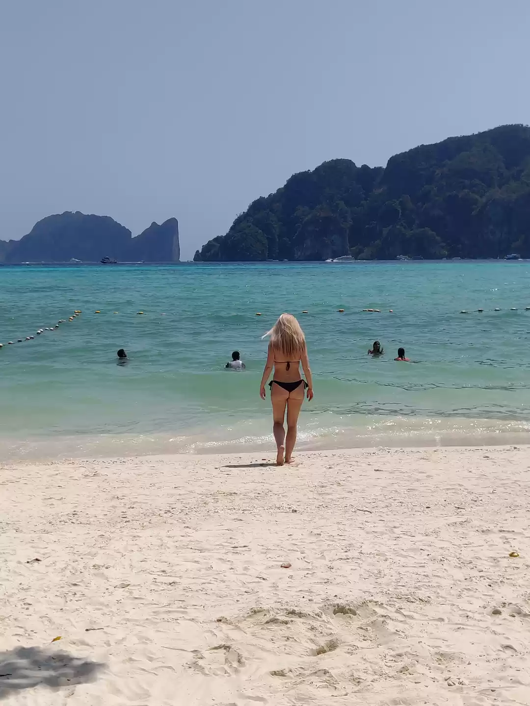 Photo of Wanders of Thailand