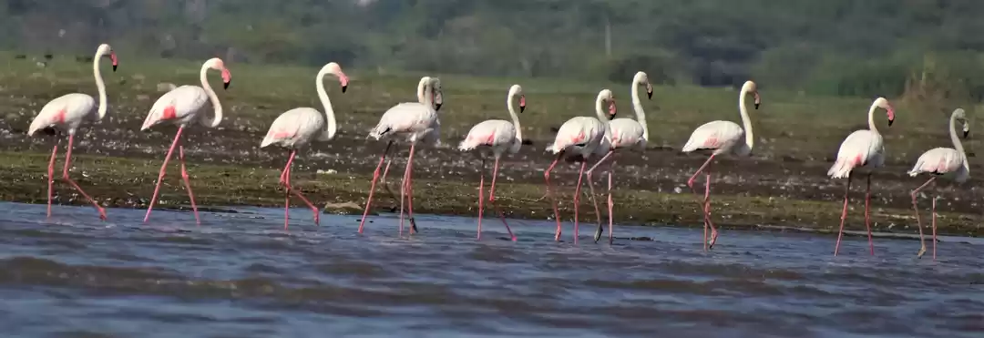 Photo of The trip with so man