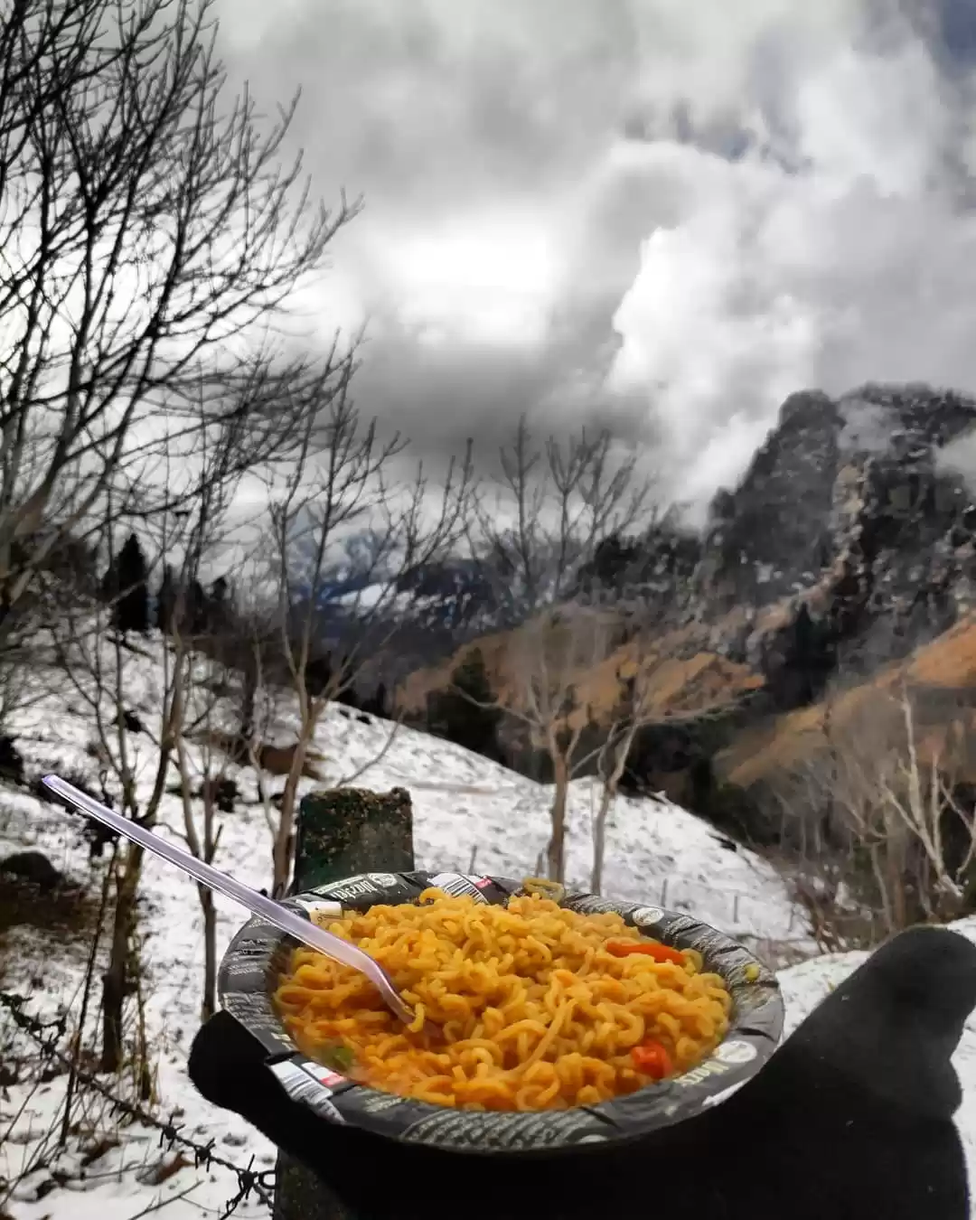 Photo of Maggi in Manali
