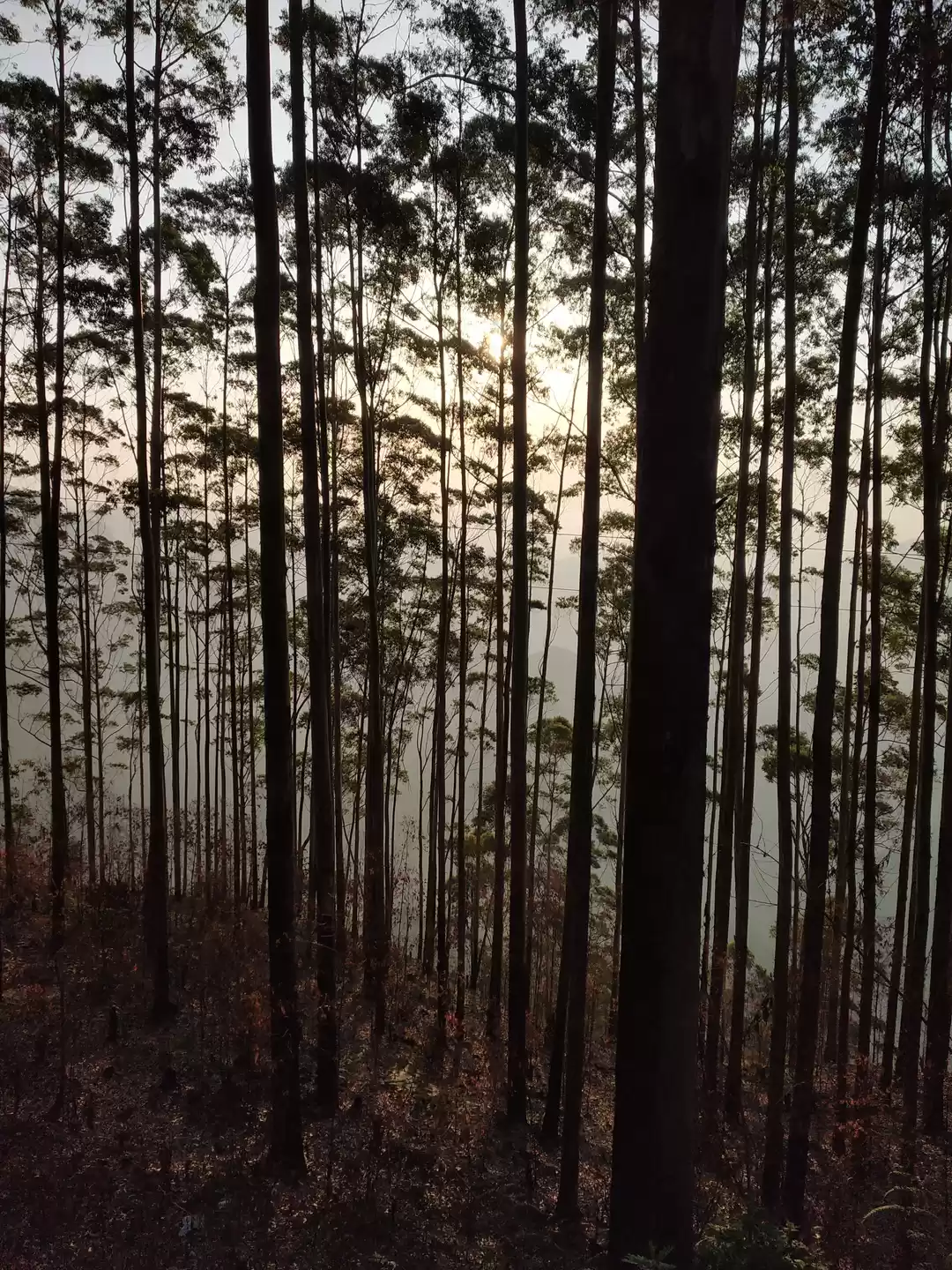 Photo of Vellagavi Village - 