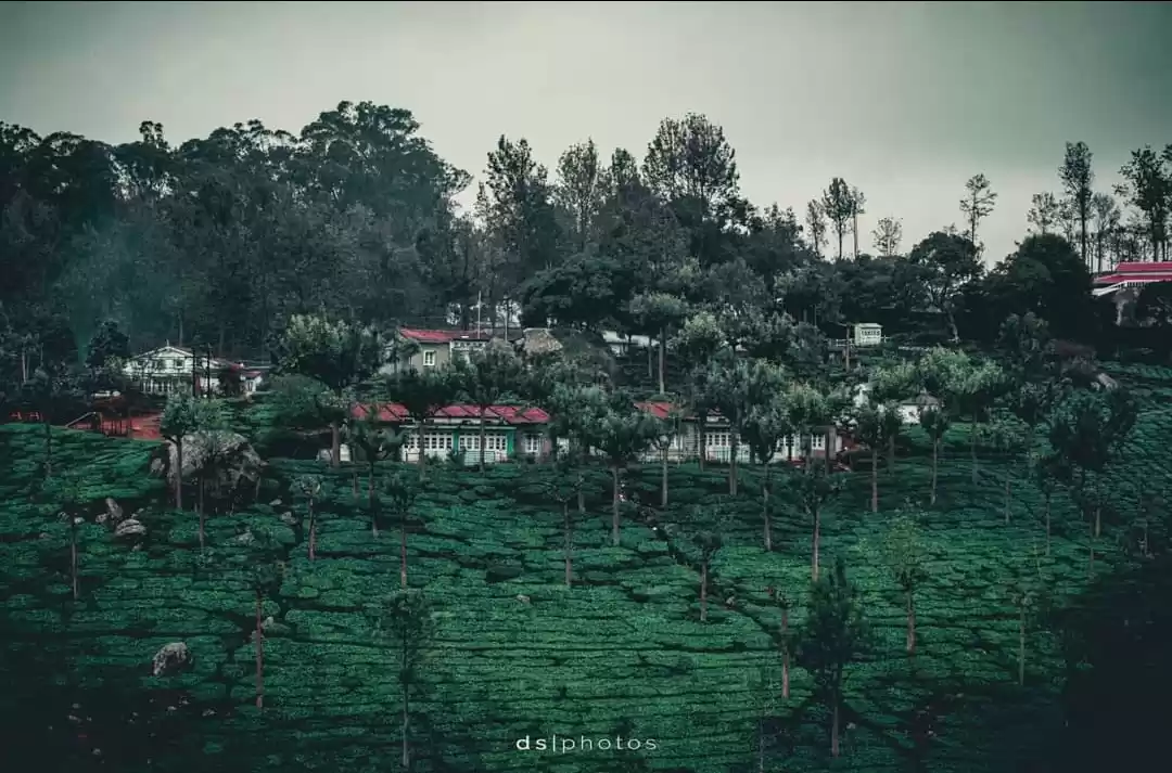 Photo of Vistas of Nilgiri Hi