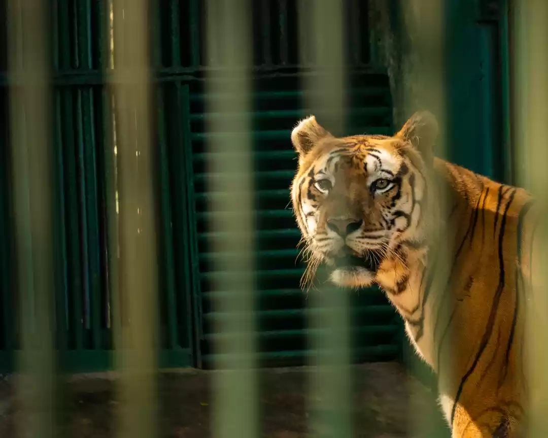 Photo of 16 Best Photos to sh