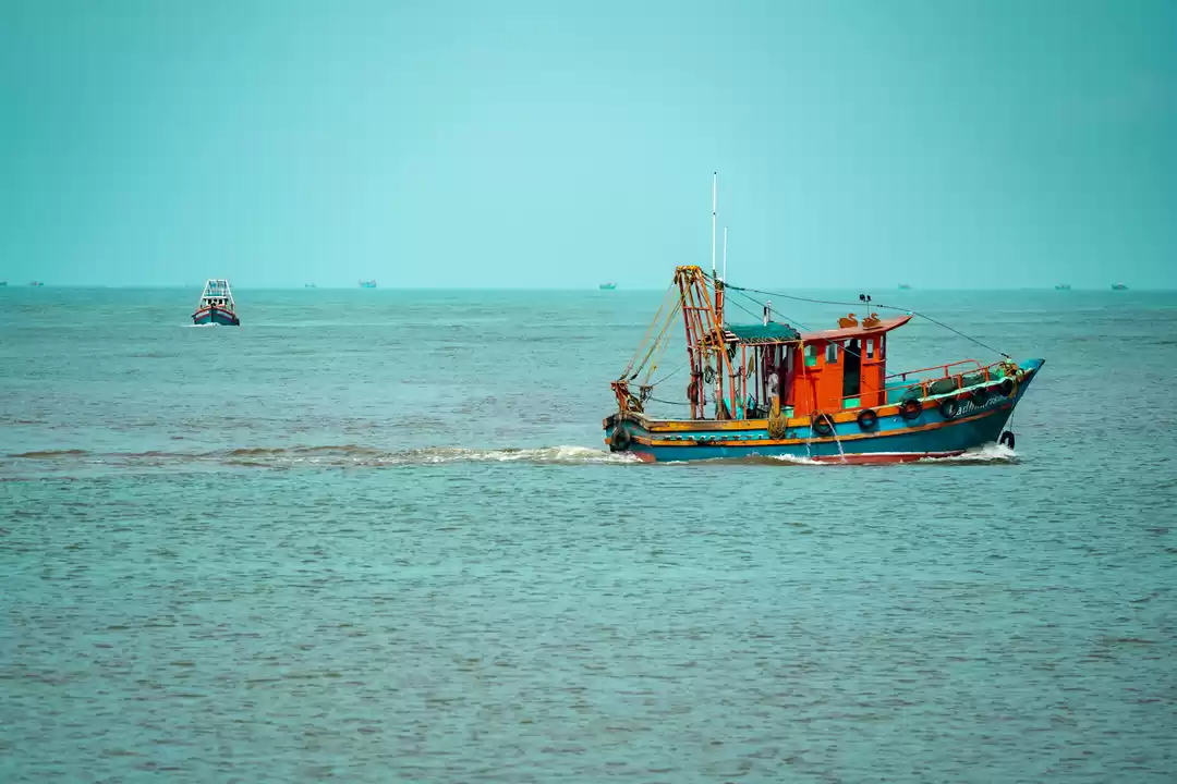 Photo of 10 Best Photos from 