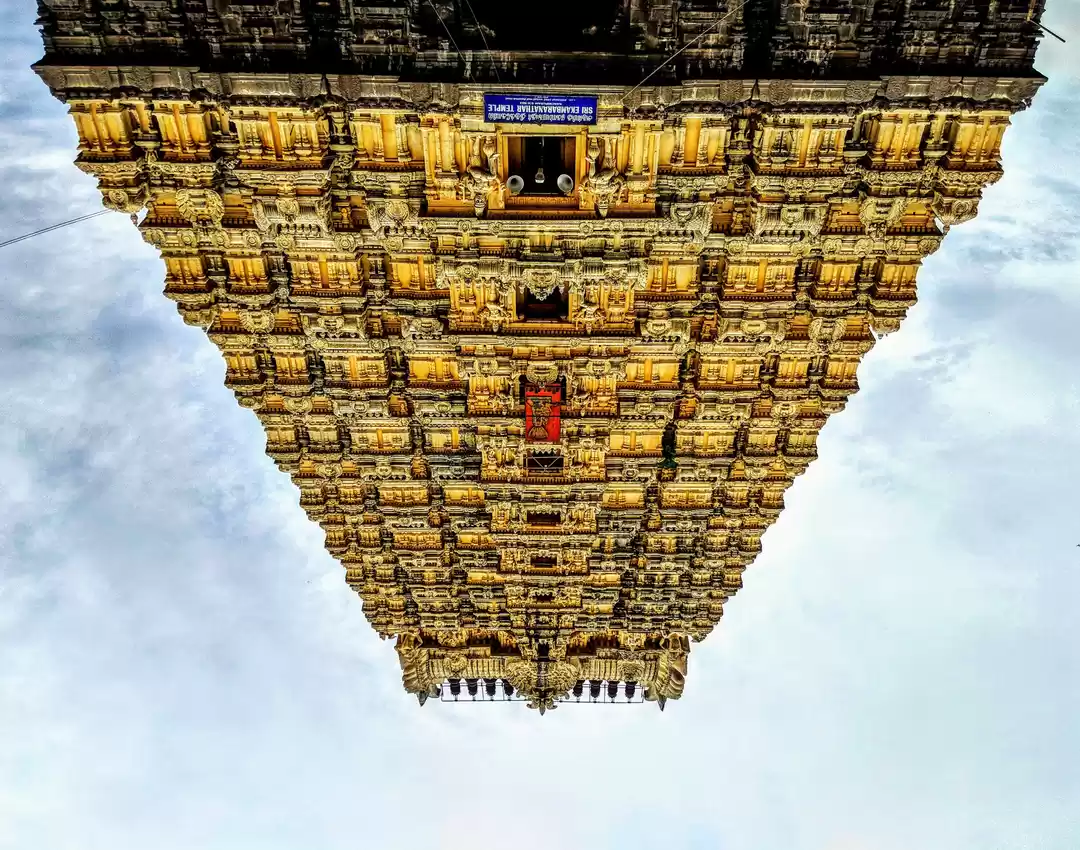 Photo of Everything You Need 