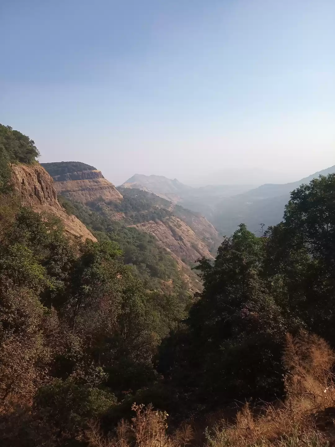 Photo of ट्रिप अड्डा
