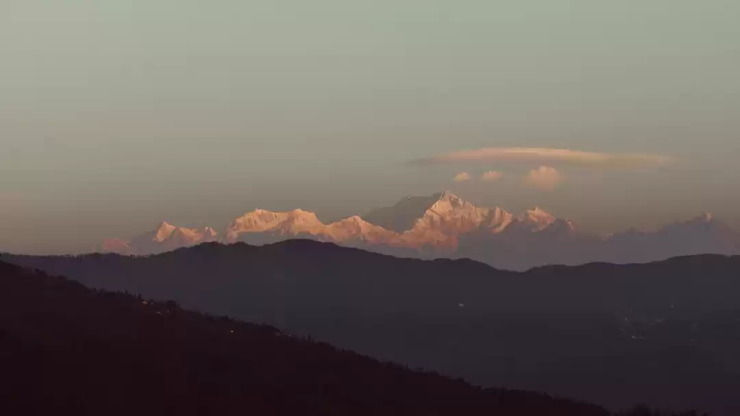 Photo of To a road less taken