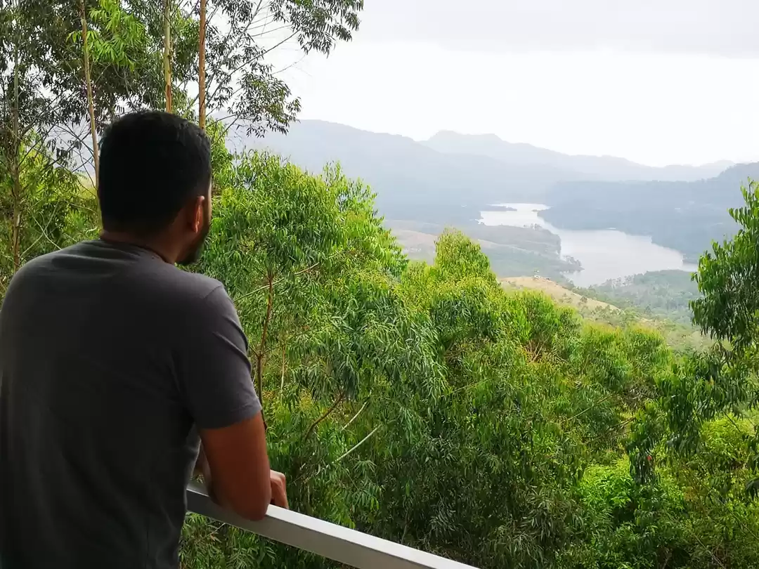 Photo of Munnar Kolukkumalai 
