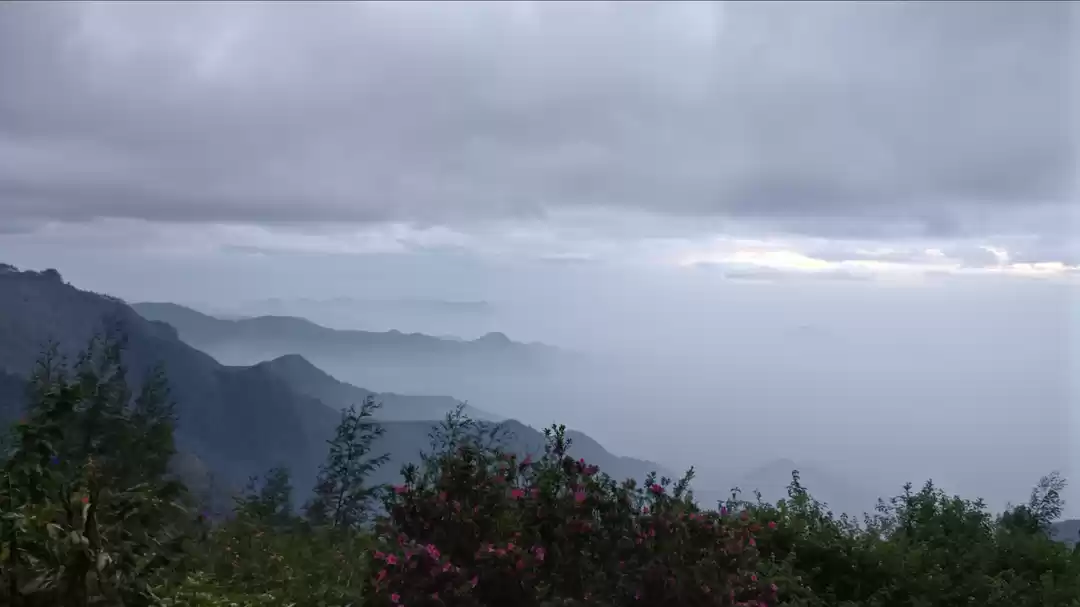 Photo of Vattakanal near Koda