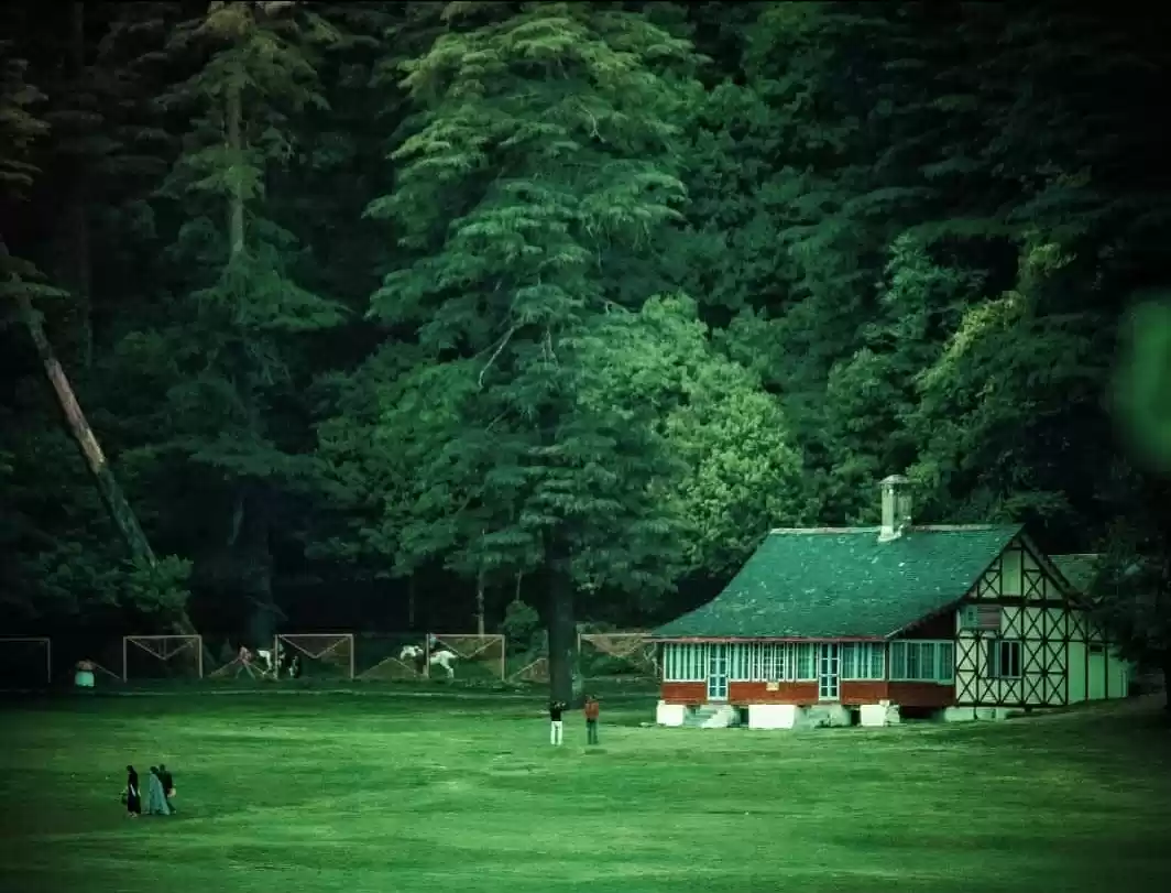 Photo of Dashing Dalhousie -A