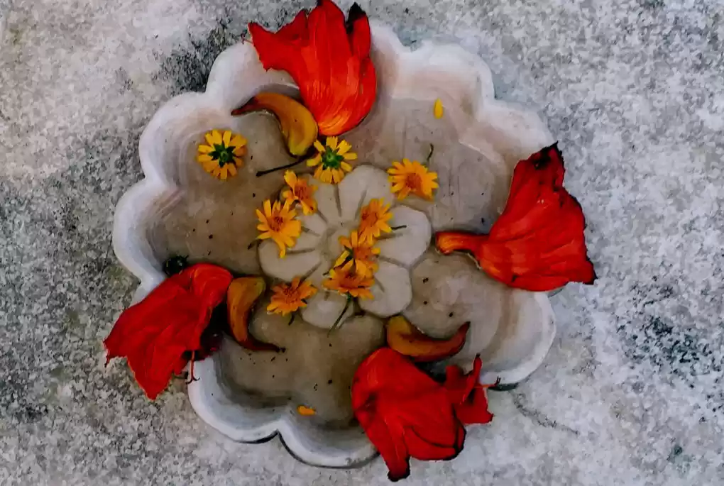 Photo of A SECRET PARADISE...