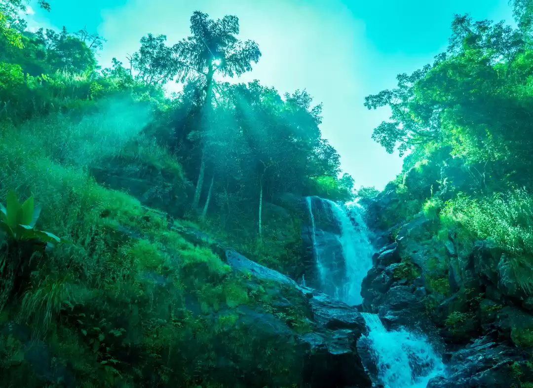 Photo of Irupu falls (Lakshma