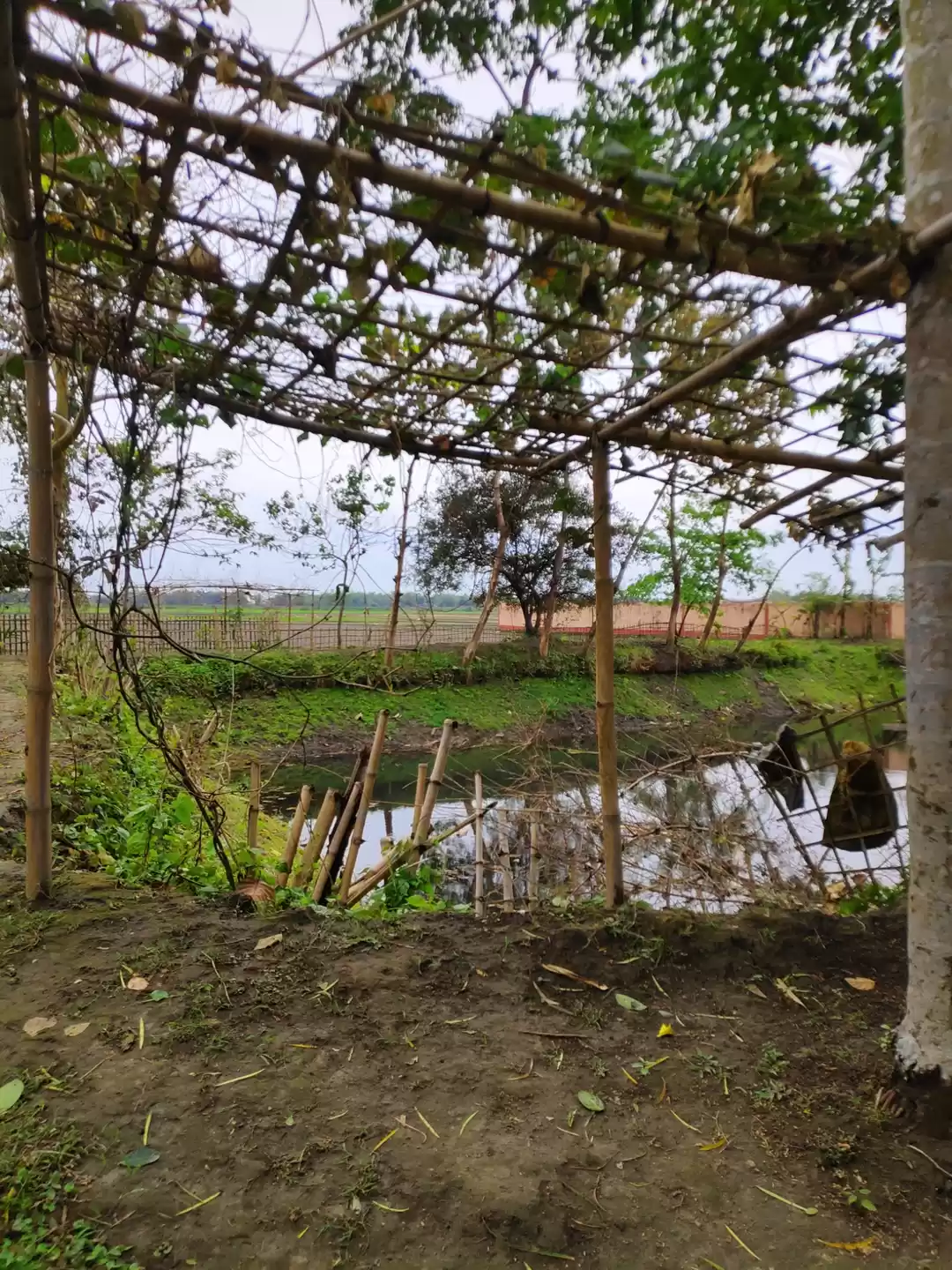 Photo of Jalpaiguri Landscape