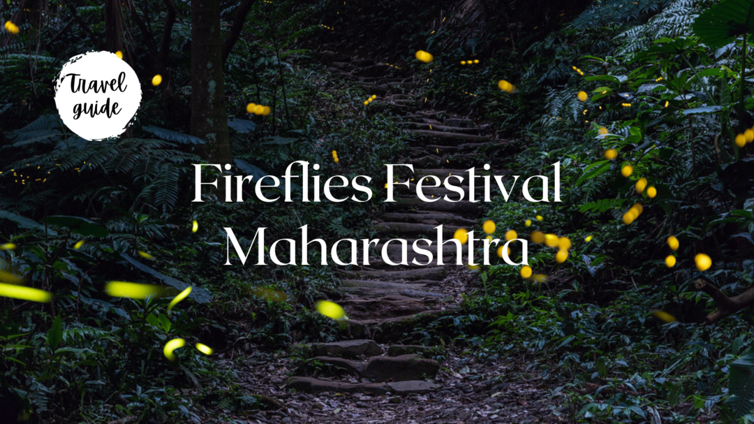 Photo of ફાયરફ્લાય ફેસ્ટિવલ દ