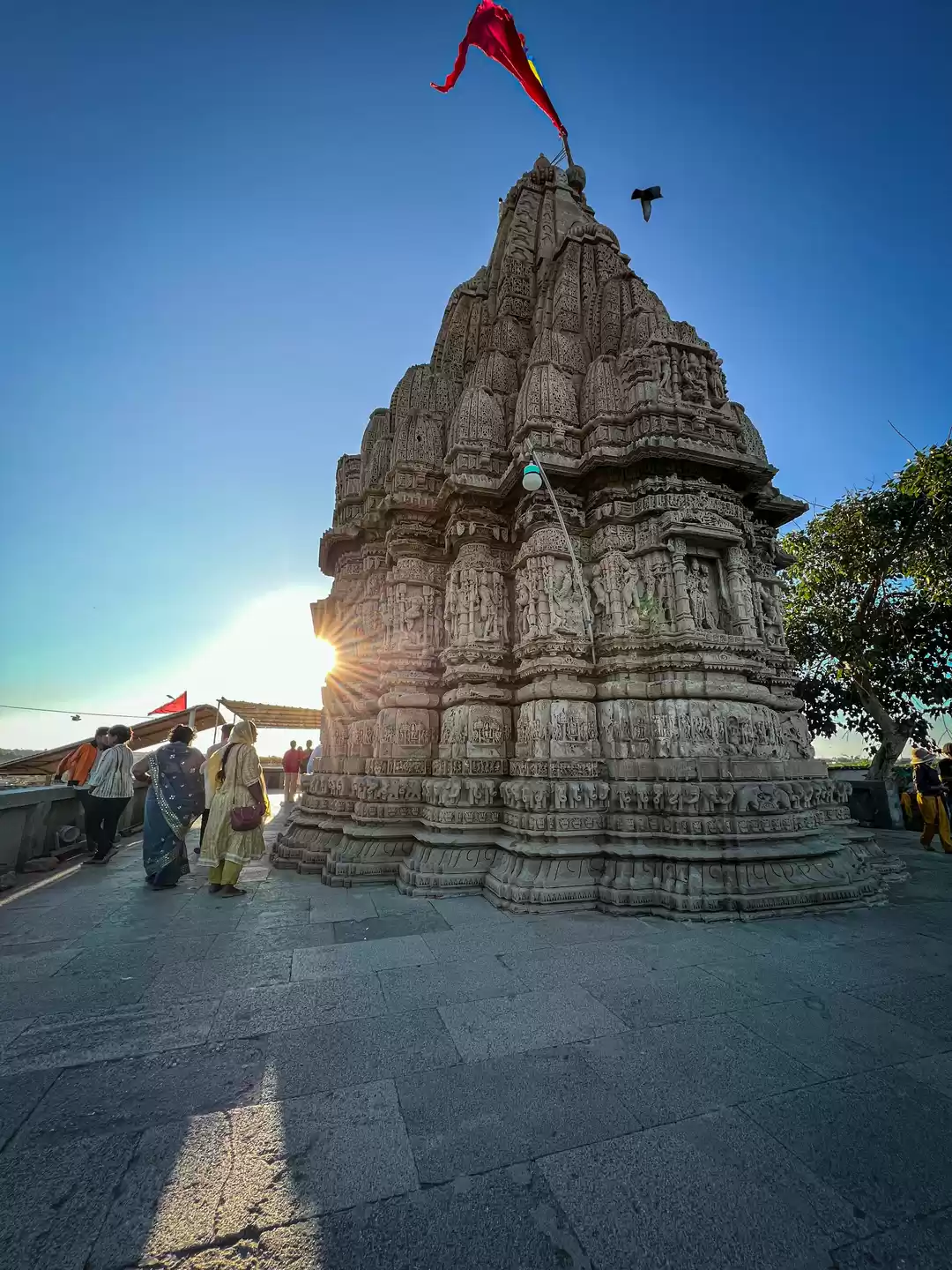 Photo of The only Rukmini Dev