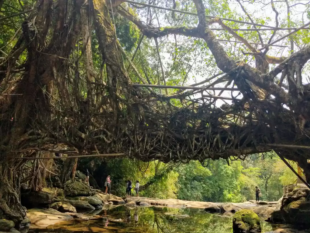 Photo of First trip to North-