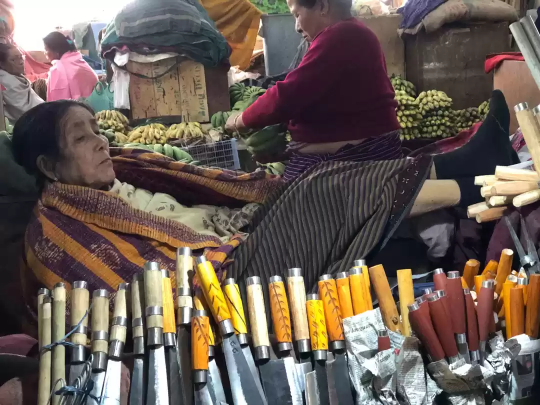 Photo of 13 astonishing insid