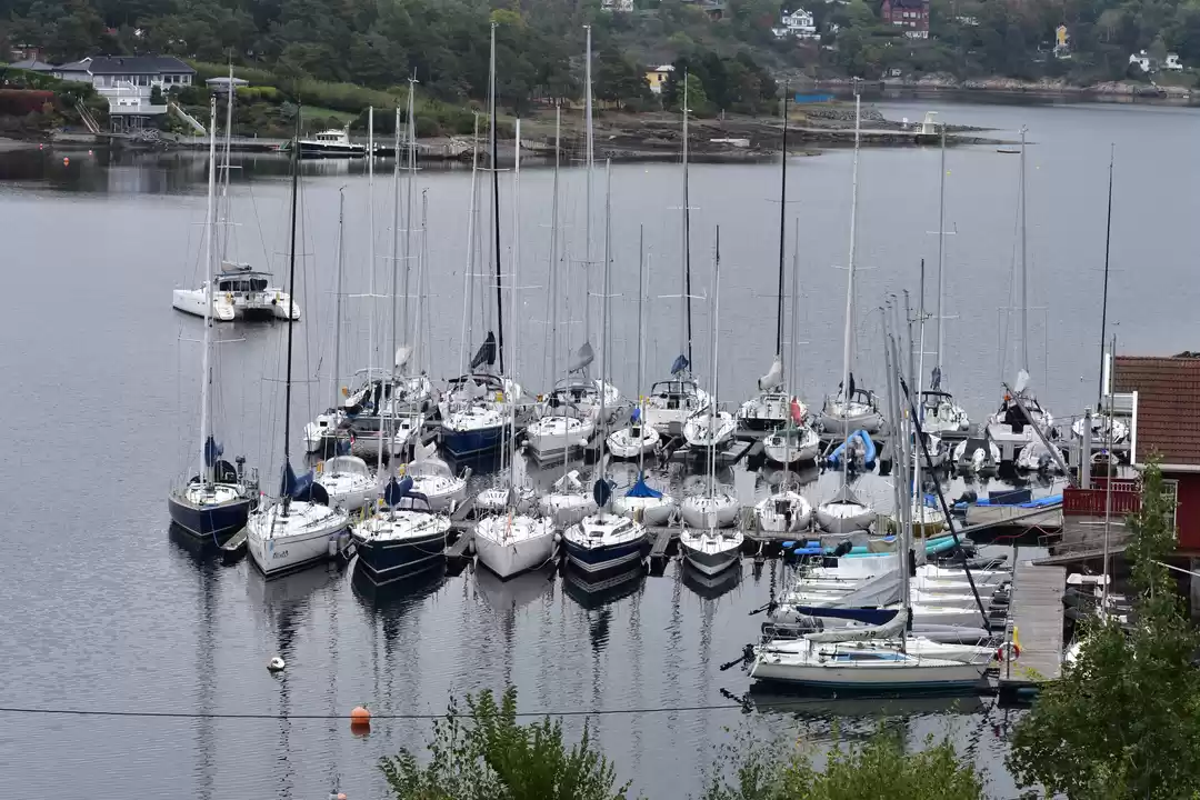 Photo of Nature is to Love an