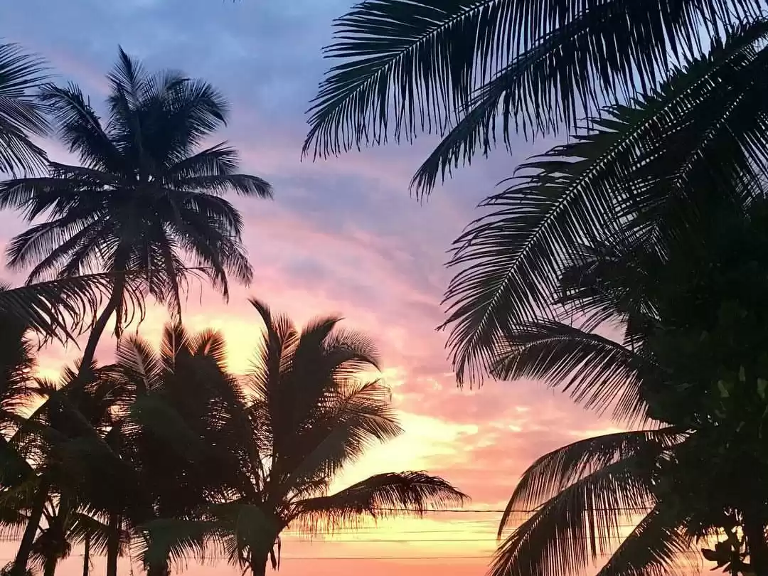 Photo of Finding Peace In Gal