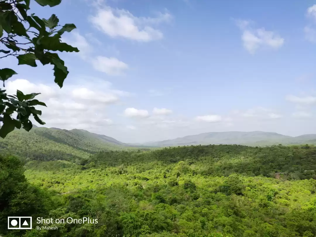 Photo of Nallamalla forest