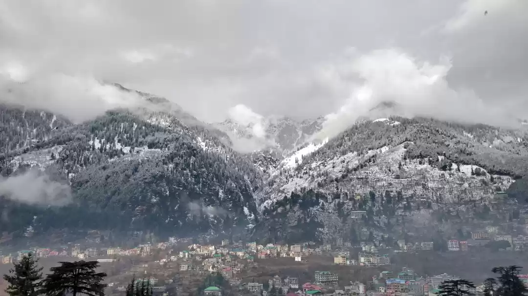 Photo of Road Trip to Witness