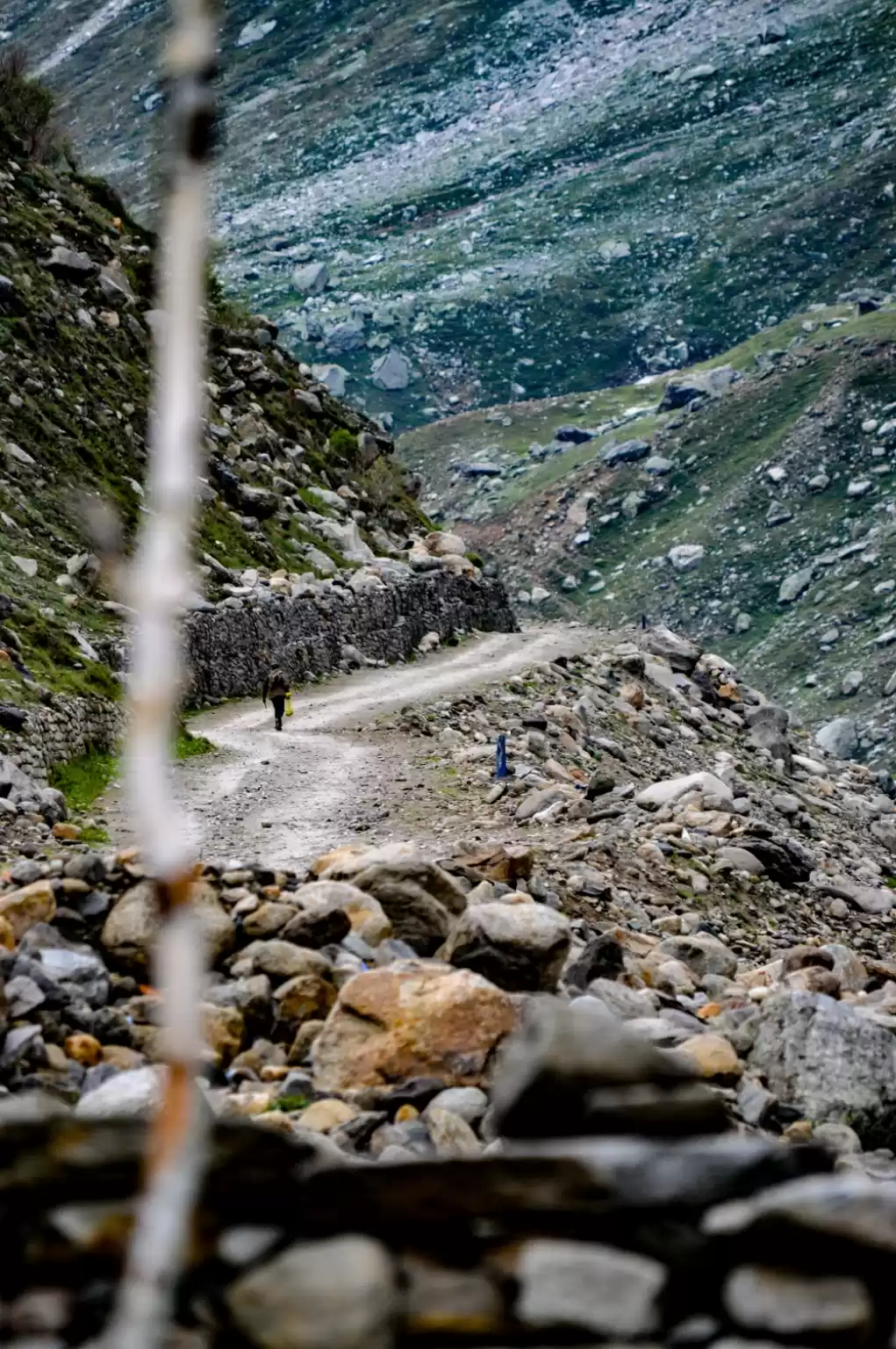 Photo of Few paths are meant 