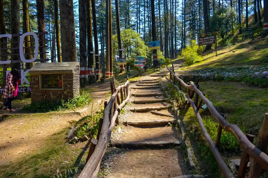 Photo of Into the woods : Dha