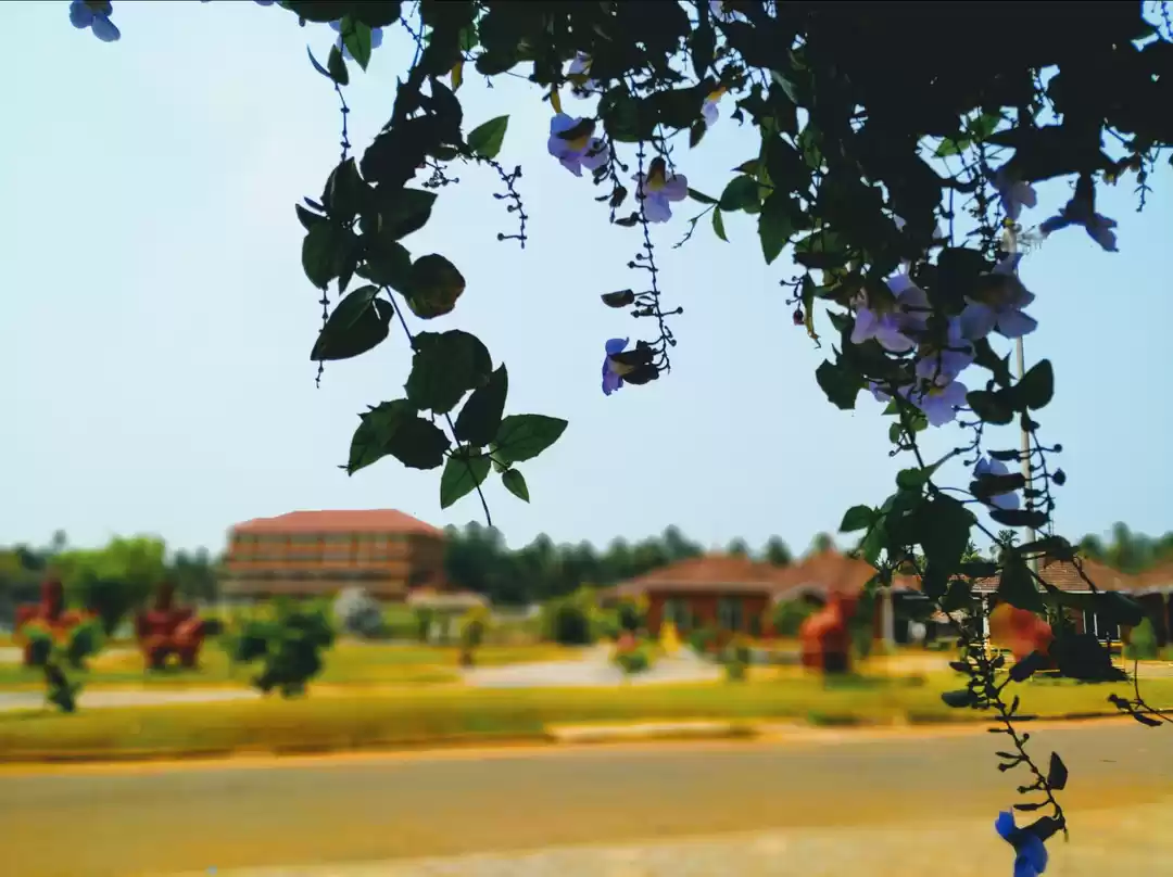 Photo of Saragalaya Art and C