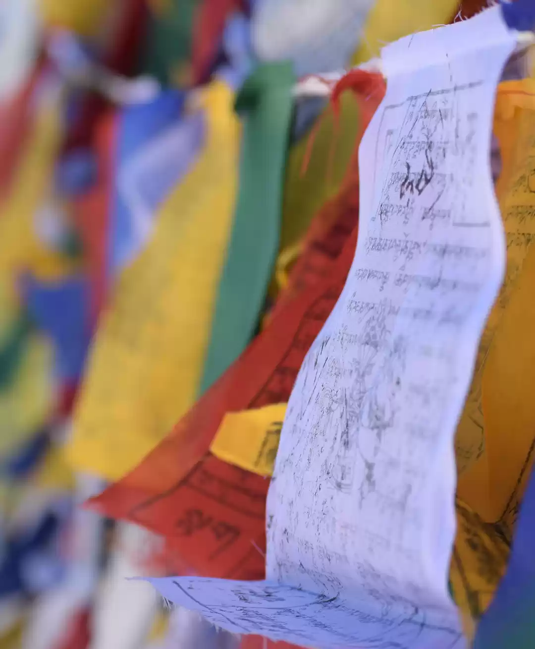 Photo of Leh Ladakh Trip 2 -