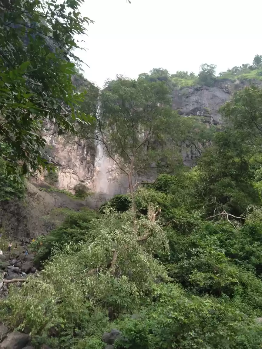 Photo of The Seasonal Bliss o