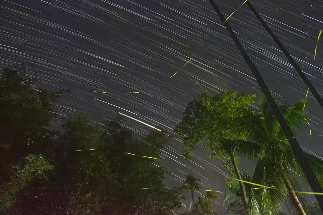 Photo of Star Trails and Fire